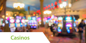 Passport Drehkreuz FBL5000-D Pro Series | Casino und Flughafen Sicherheit
